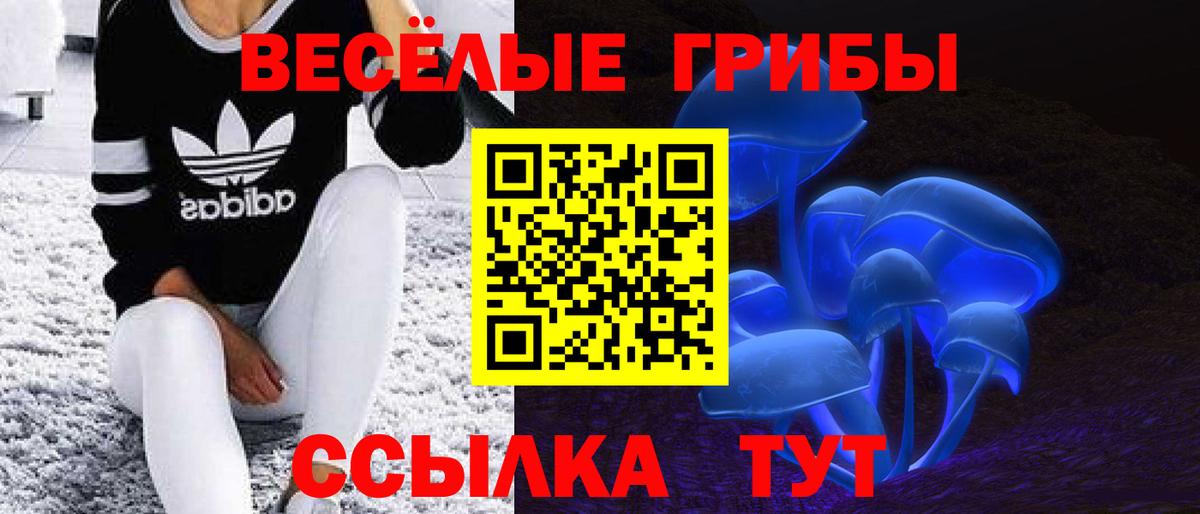 Галлюциногенные грибы ЛСД  Вход с VPN  Ессентуки 