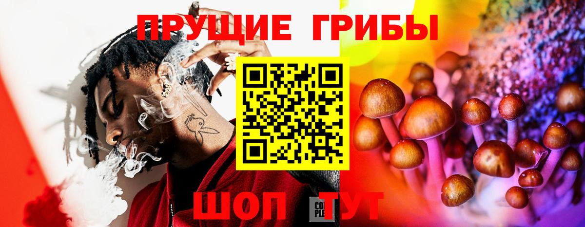 Галлюциногенные грибы Cubensis Ессентуки