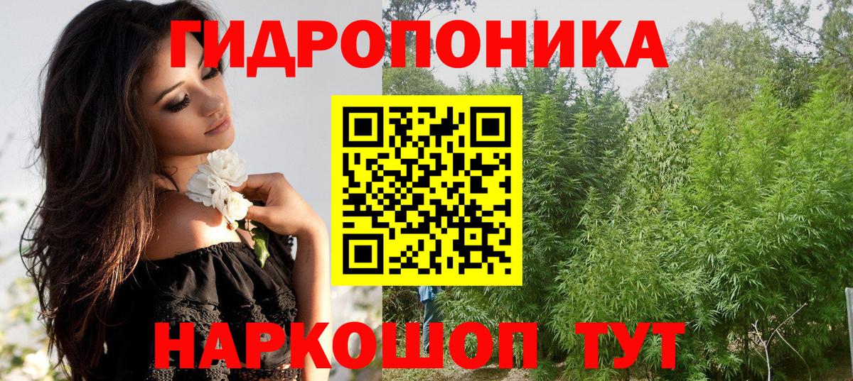 Бошки марихуана VHQ  МАРИХУАНА LSD WEED  Ессентуки  Вход с VPN  Бошки Шишки SATIVA & INDICA  Конопля семена 