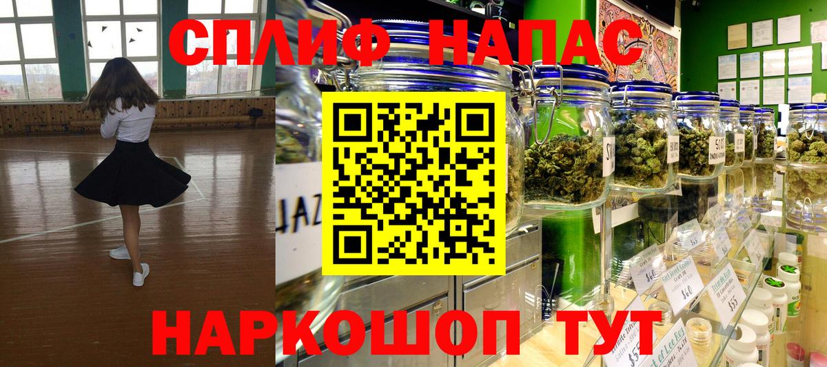 Бошки Шишки планчик Ессентуки